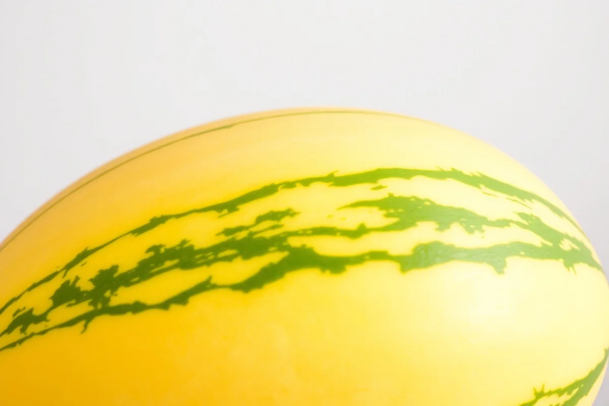 Gros plan sur un melon doré
